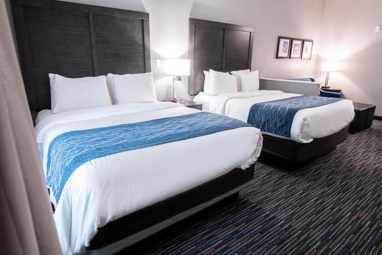 Comfort Inn & Suites Near Medical Center San Antonio Bagian luar foto
