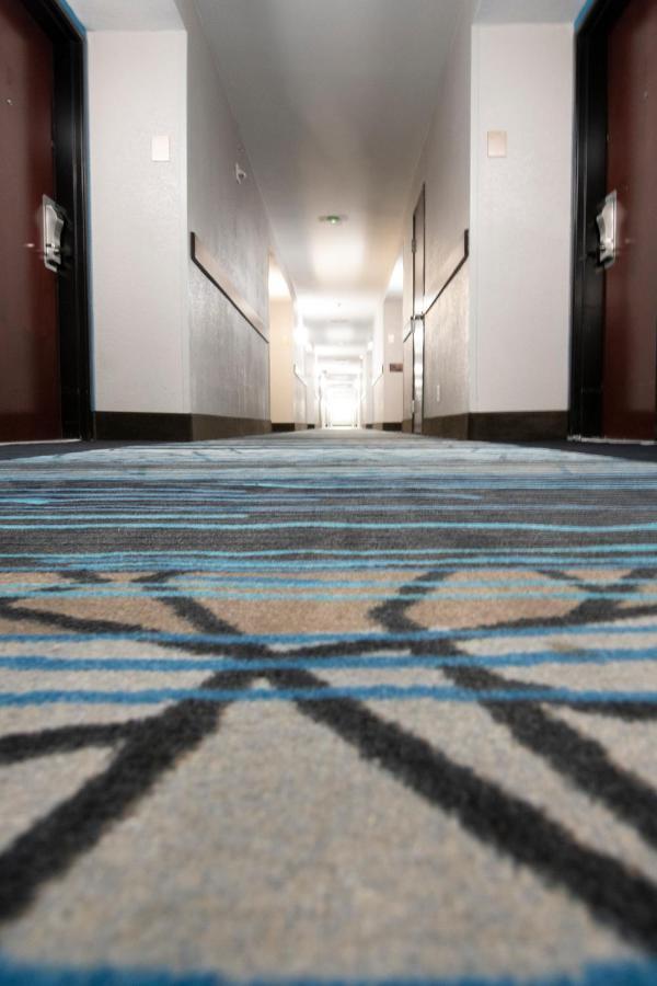 Comfort Inn & Suites Near Medical Center San Antonio Bagian luar foto
